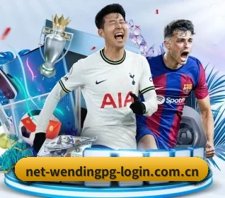 net-wendingpg-login.com.cn APP