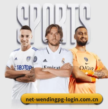 net-wendingpg-login.com.cn的方向